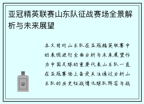 亚冠精英联赛山东队征战赛场全景解析与未来展望 亚冠精英联赛山东队征战赛场全景解析与未来展望